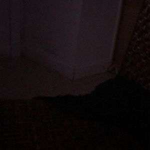 Meet your Posher, Keem